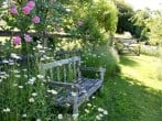 Bench in garden Bench in garden